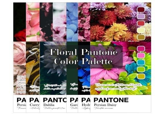 Floral Pantone Color Swatches: Elevating Your Brand Palette