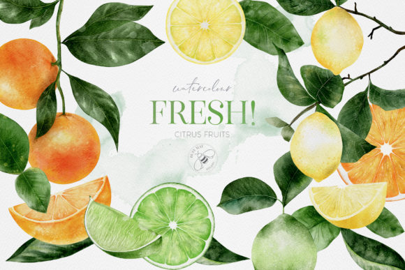 Fruit Watercolour Citrus Fruit Lemons: A Zesty Design Asset