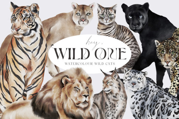 Wild Cats Watercolour Illustrations PNG: A Roar of Creative Potential